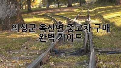 의성군 옥산면 중고차 구매 완벽 가이드