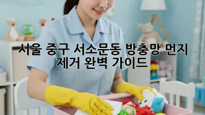 서울 중구 서소문동 방충망 먼지 제거 완벽 가이드