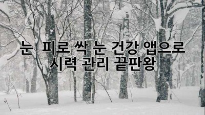 눈 👀 피로 싹! 눈 건강 앱으로 시력 관리 끝판왕 🏆